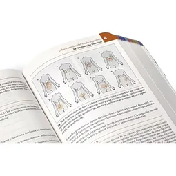 Medicina Interna MIBE