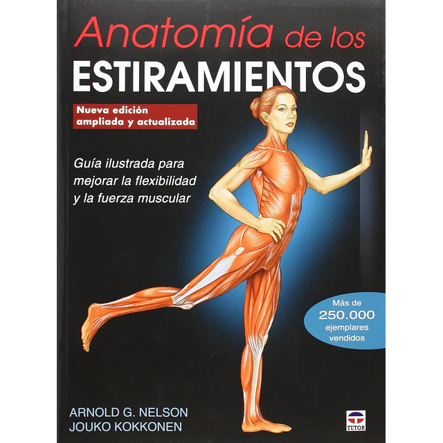 Anatomía de los Estiramientos