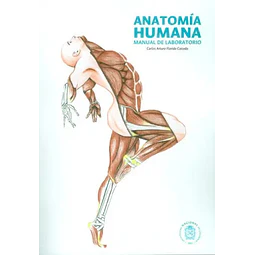 Anatomía Humana