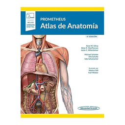 Prometheus Atlas de Anatomía