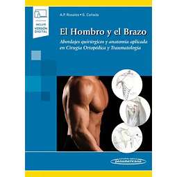 El hombro y el brazo