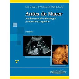 Antes de Nacer