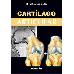Cartilago Articular