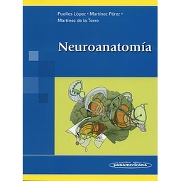 Neuroanatomía