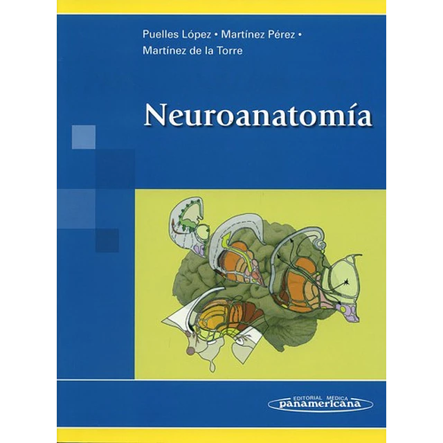 Neuroanatomía