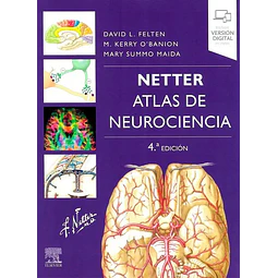 Netter. Atlas de neurociencia