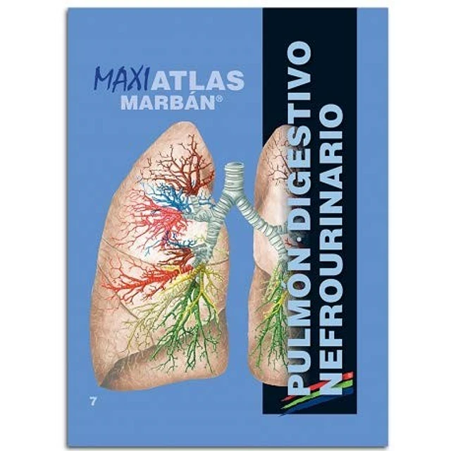 Maxi Atlas Marbán: Pulmón. Digestivo Nefrourinario