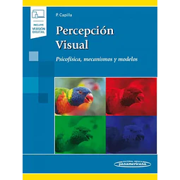Percepción Visual