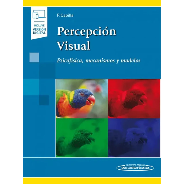 Percepción Visual