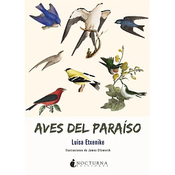 Aves del paraíso