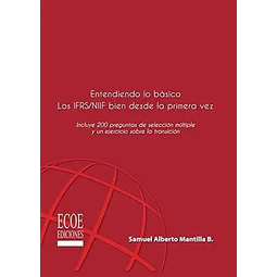 Entendiendo lo básico Los IFRS / NIIF bien desde la primera vez