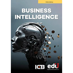 Business Intelligence