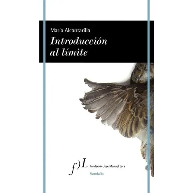 Introduccion al limite