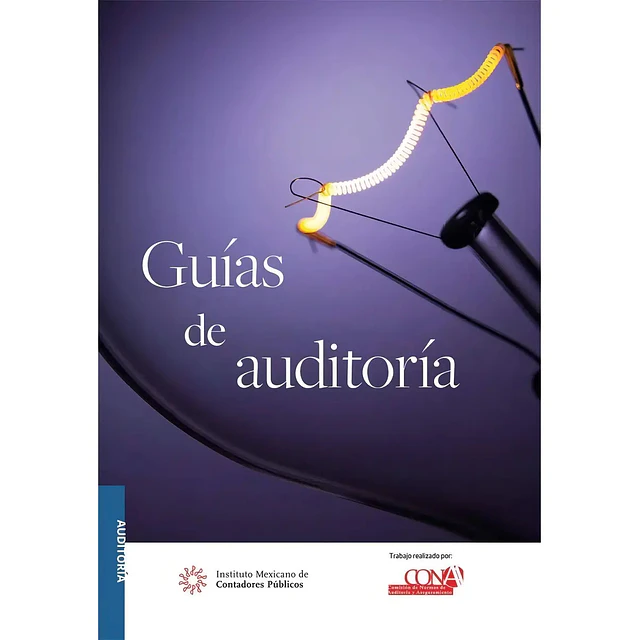 Guías De Auditoría. Versión Profesional