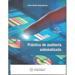 Práctica de auditoría automatizada