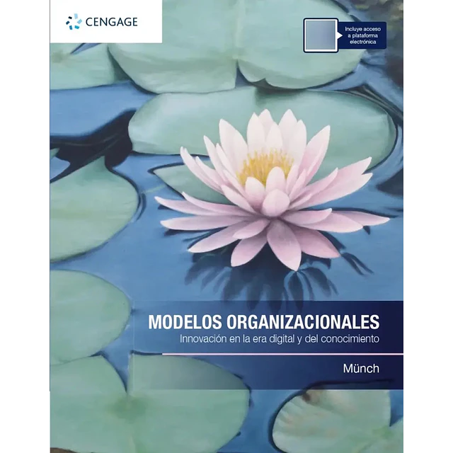 Modelos organizacionales