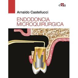 Endodoncia microquirúrgica