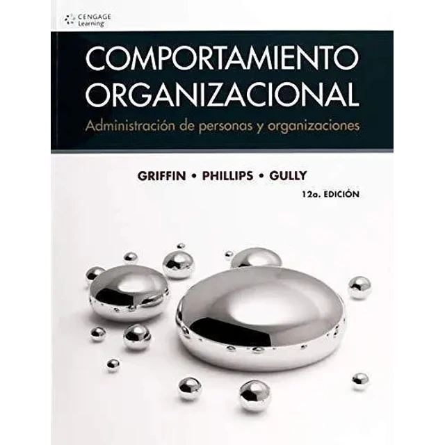 Comportamiento Organizacional