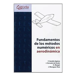 Fundamentos de los métodos numéricos en aerodinámica