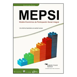 MEPSI Modelo Económico de PArticipación Social Integral