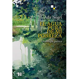 El agua pura de mi pobreza