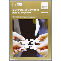 Instrumento Derivados para la Empresa