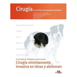 Cirugía Mínimamente Invasiva en Tórax y Abdomen.