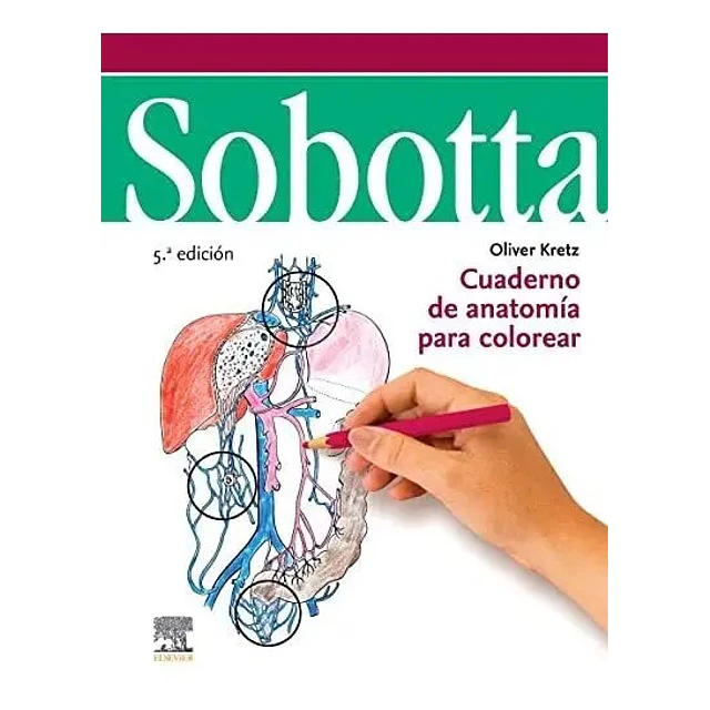 Sobotta. Cuaderno de anatomía para colorear