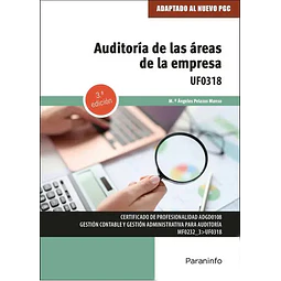 Auditoría de las áreas de la empresa