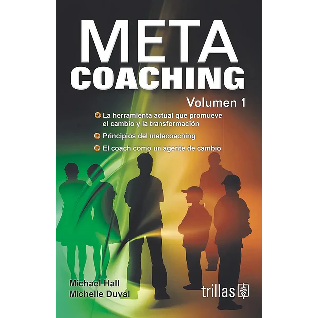 Metacoaching Vol 1