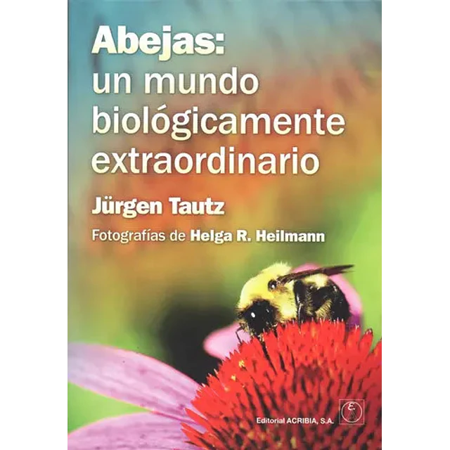 Abejas: un mundo biológicamente extraordinario