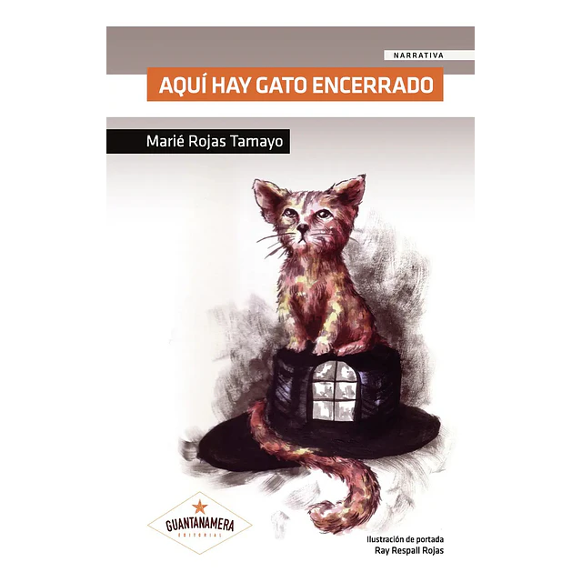 Aquí hay gato encerrado