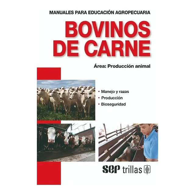 Bovinos de carne