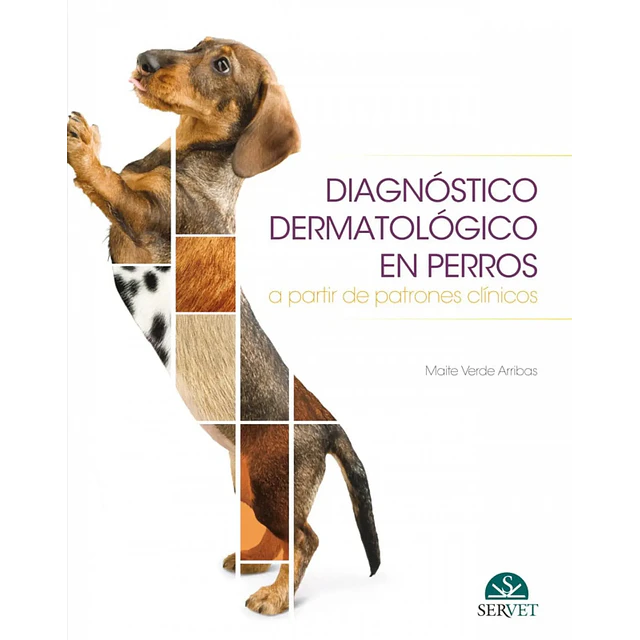 Diagnóstico Dermatológico en Perros