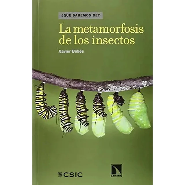 La metamorfosis de los insectos
