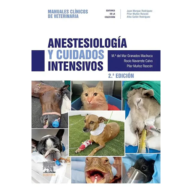 Anestesiología y cuidados intensivos