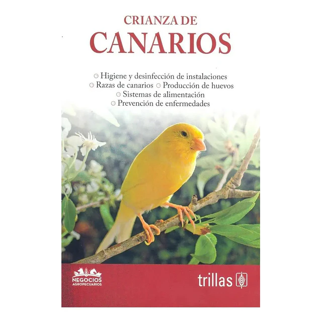 Crianza de Canarios