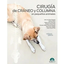 Cirugía de cráneo y columna en pequeños animales