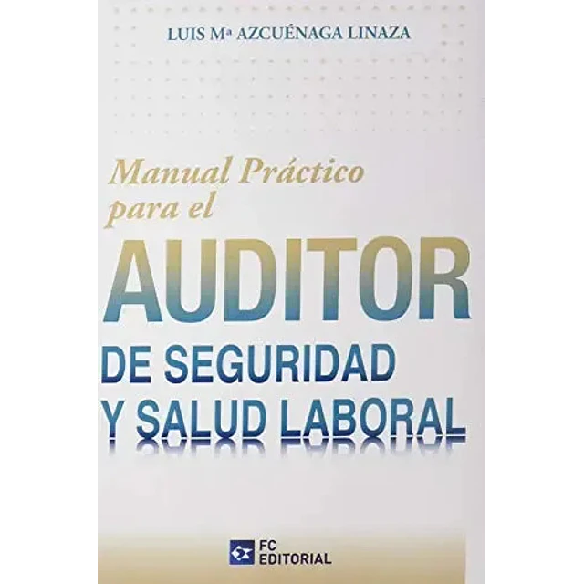 Auditor de seguridad y salud laboral