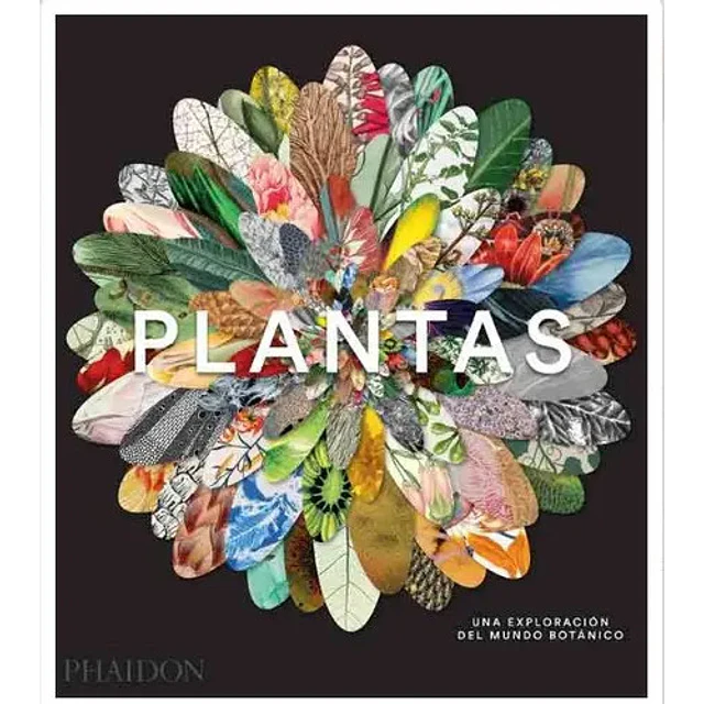 Plantas