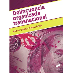 Delincuencia organizada transnacional