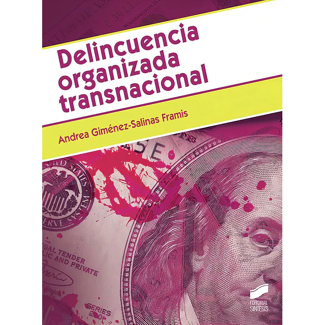 Delincuencia organizada transnacional
