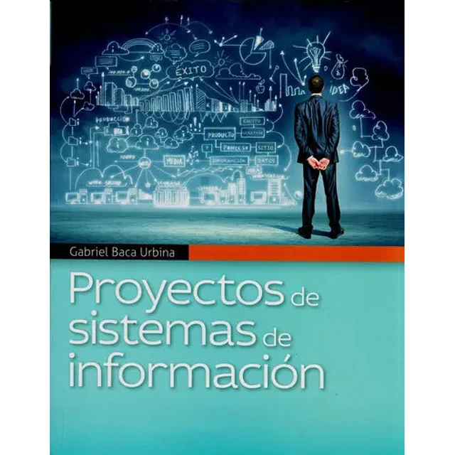 Proyectos de sistemas de información