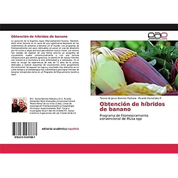 Obtención de híbridos de banano. Programa de fitomejoramiento convencional de Musa spp