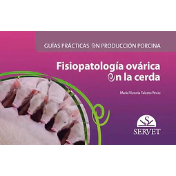Fisiopatología ovárica en la cerda. Guías prácticas en producción porcina