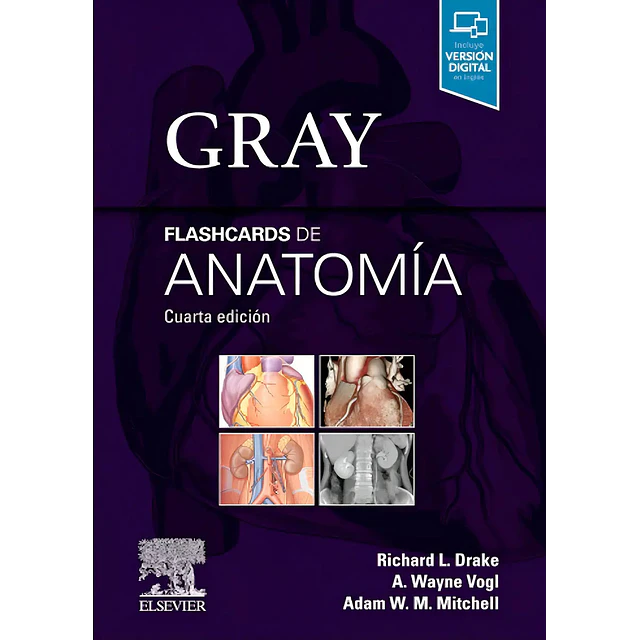 Flashcards de Anatomía Gray