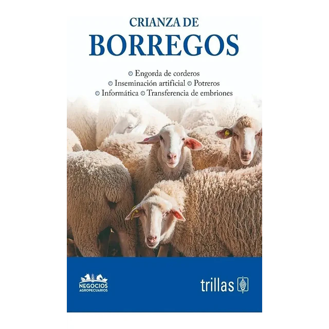 Crianza de Borregos