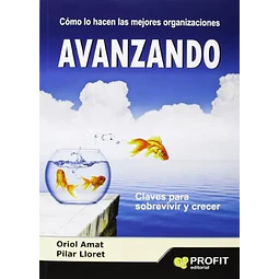 Cómo lo hacen las mejores organizaciones Avanzando
