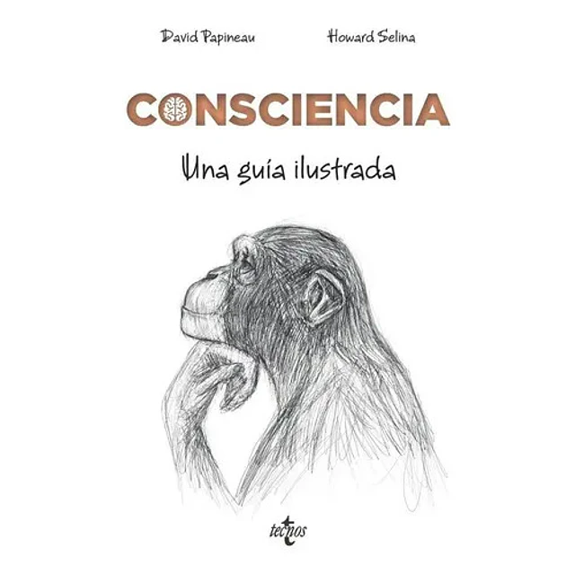 Consciencia. Una guía ilustrada