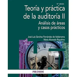 Teoria y practica de la auditoria II